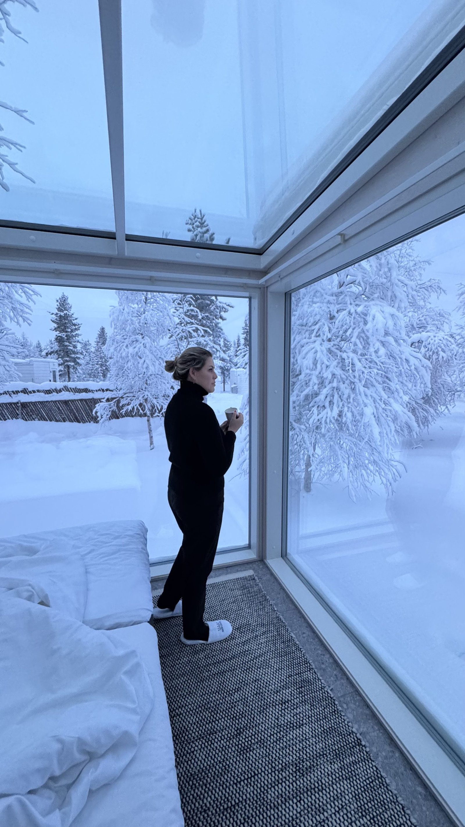 Iglu com teto de vidro